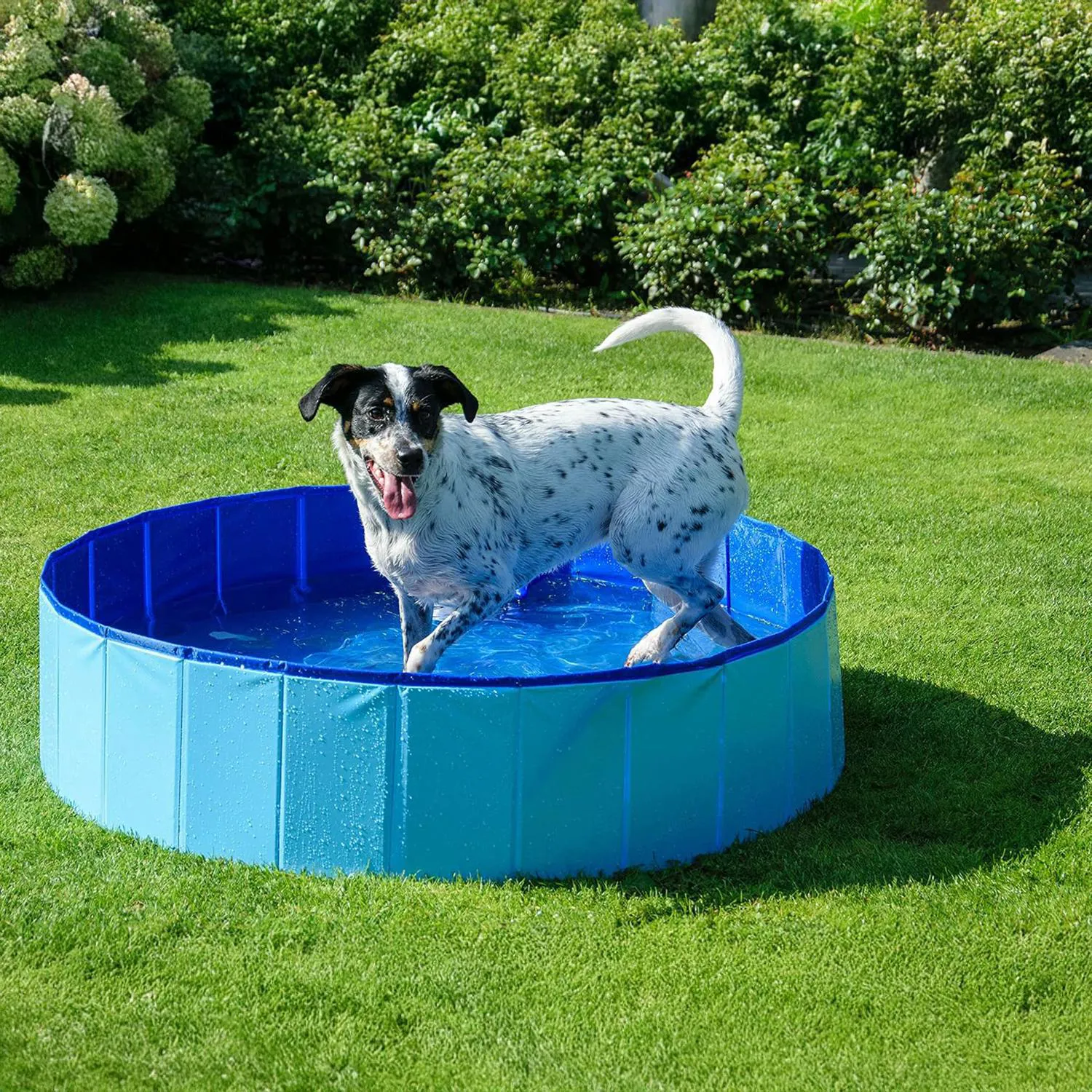 Piscina surtida 115x30cm BABY-342