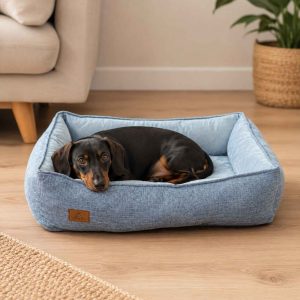 Cama rectangular premium AJ-790