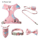 Arnes con accesorios M DN-019