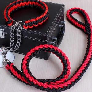 Correa trenzada con collar CHICO ABT-739