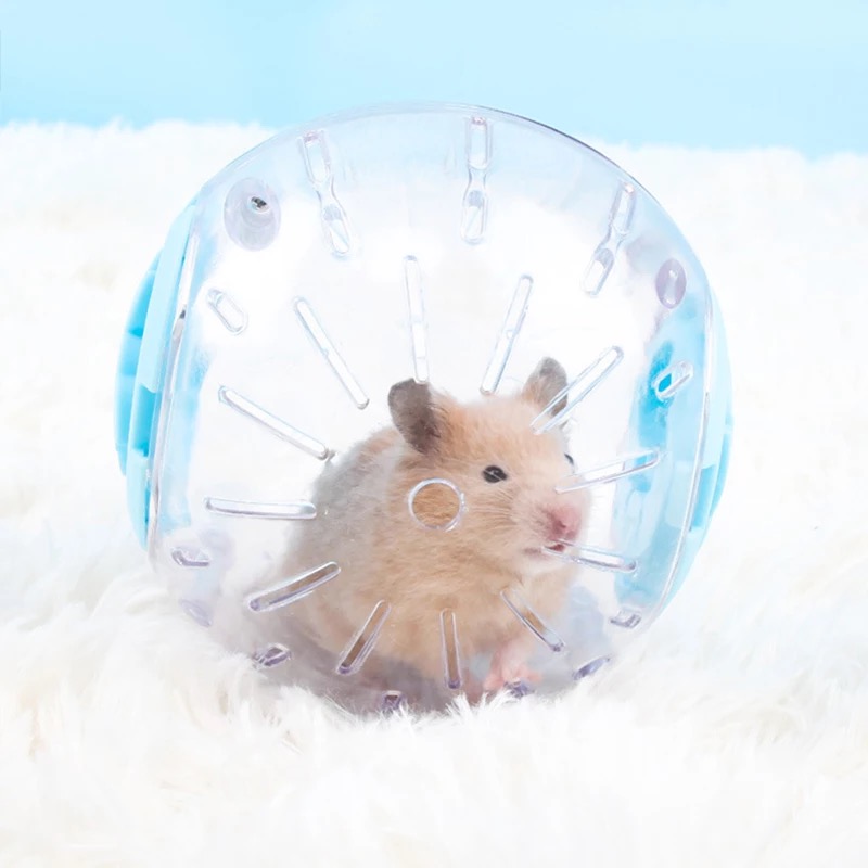Esfera hamster con soporte 12cm BE-P31-1