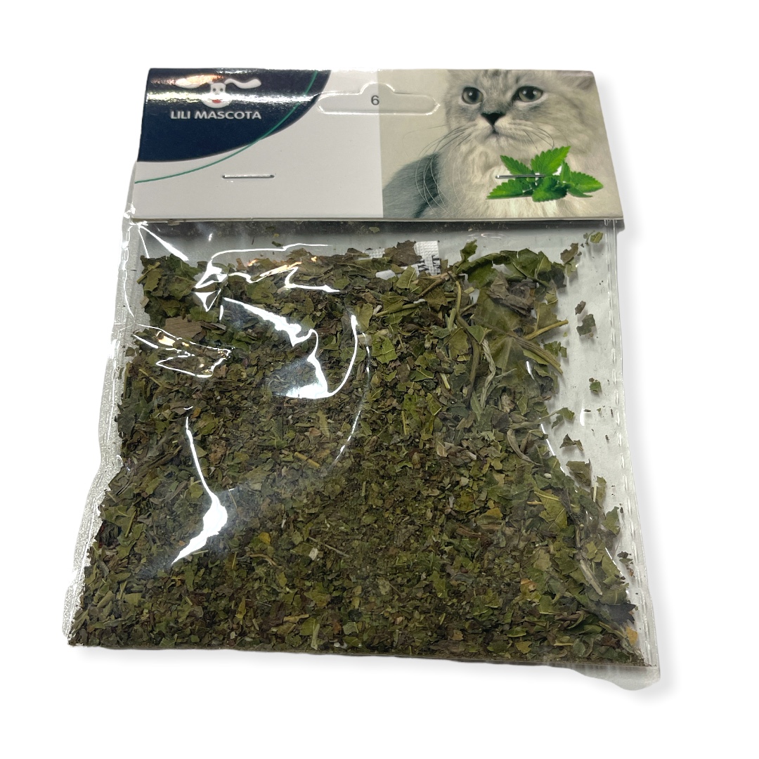 G. Yerba gatera KP-236