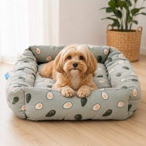 Cama rectangular 65x50 cm LZ26031