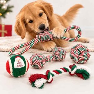 Juguete cuerda SET NAVIDAD 5PCS AJ-1067