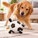 Juguete pelota + inflador AJ-1073